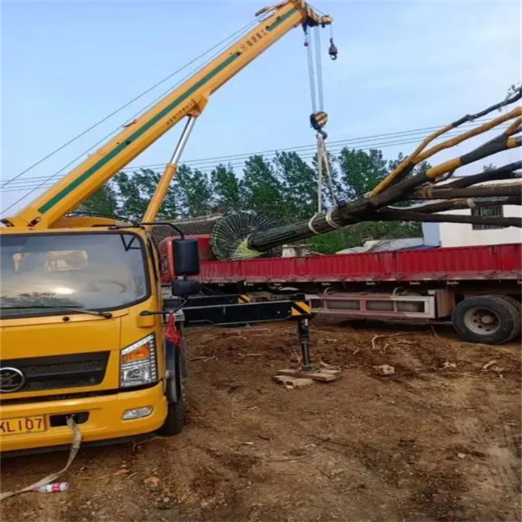 浩口镇100吨吊车租赁费用怎么算？3大关键因素+省钱技巧全解析